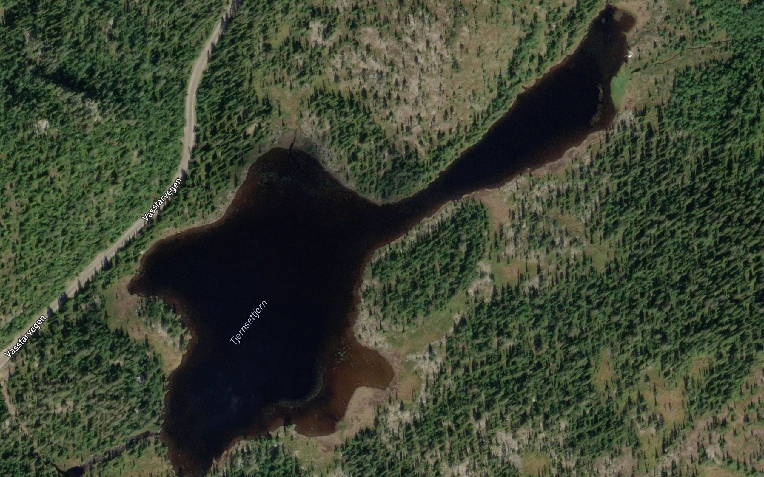 Tjernsettjern