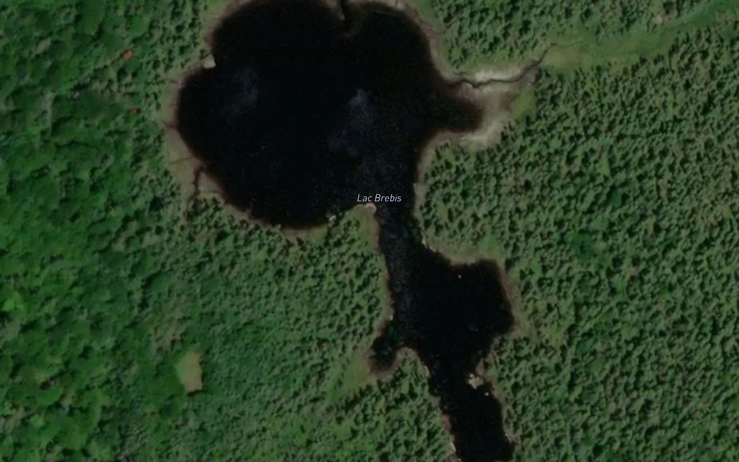 Lac Brebis