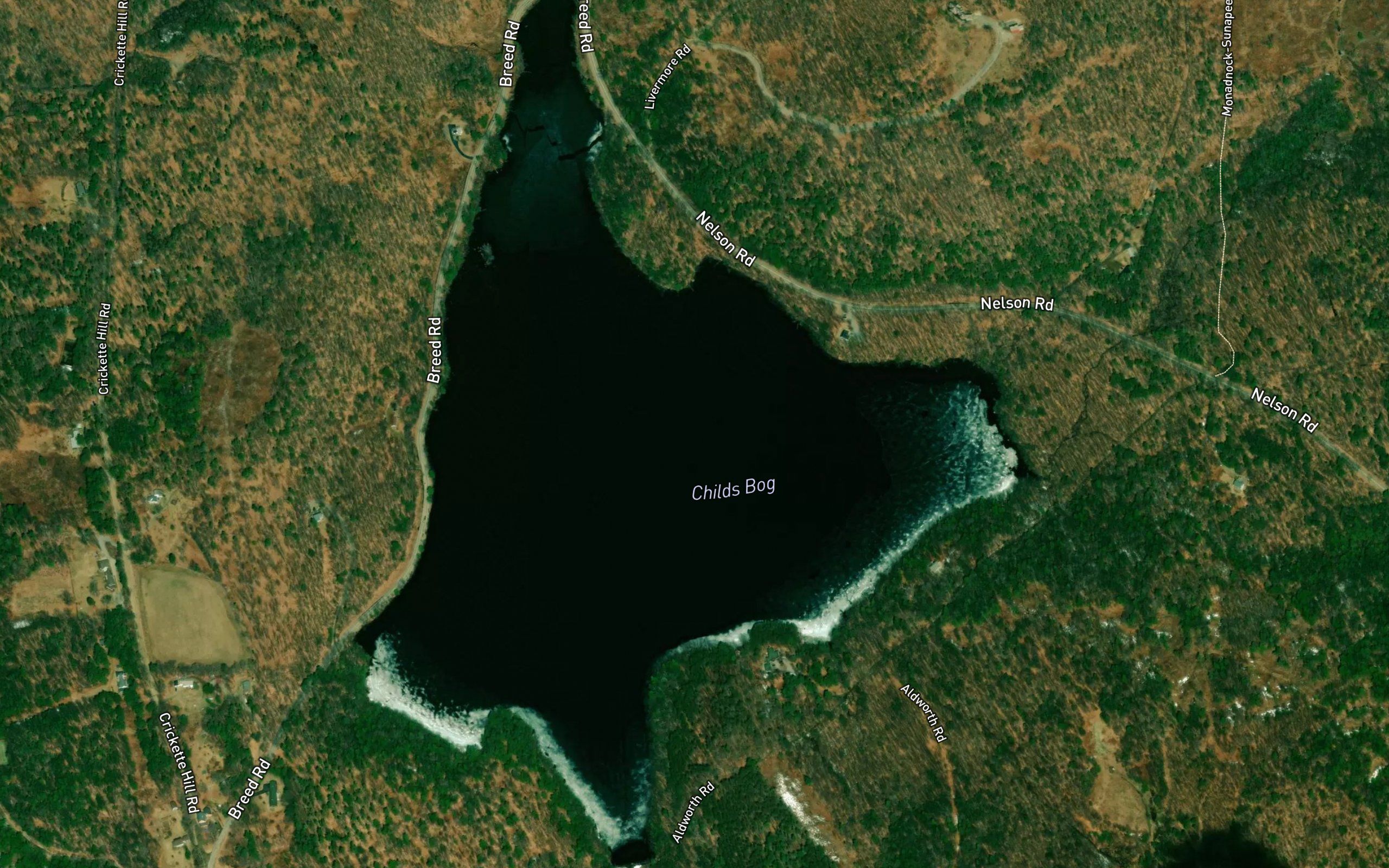Childs Bog