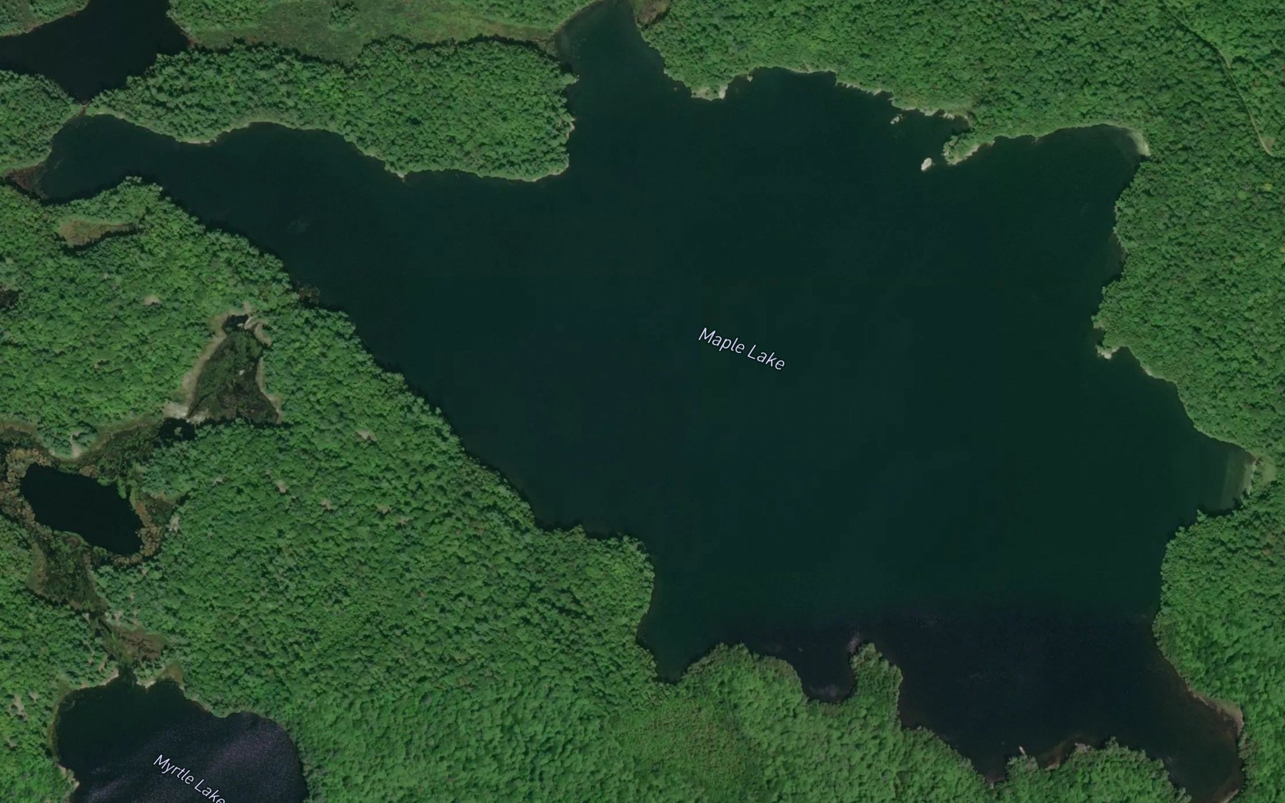 Satellite map of the Maple Lake