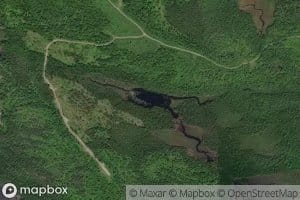 Little Grapevine Pond