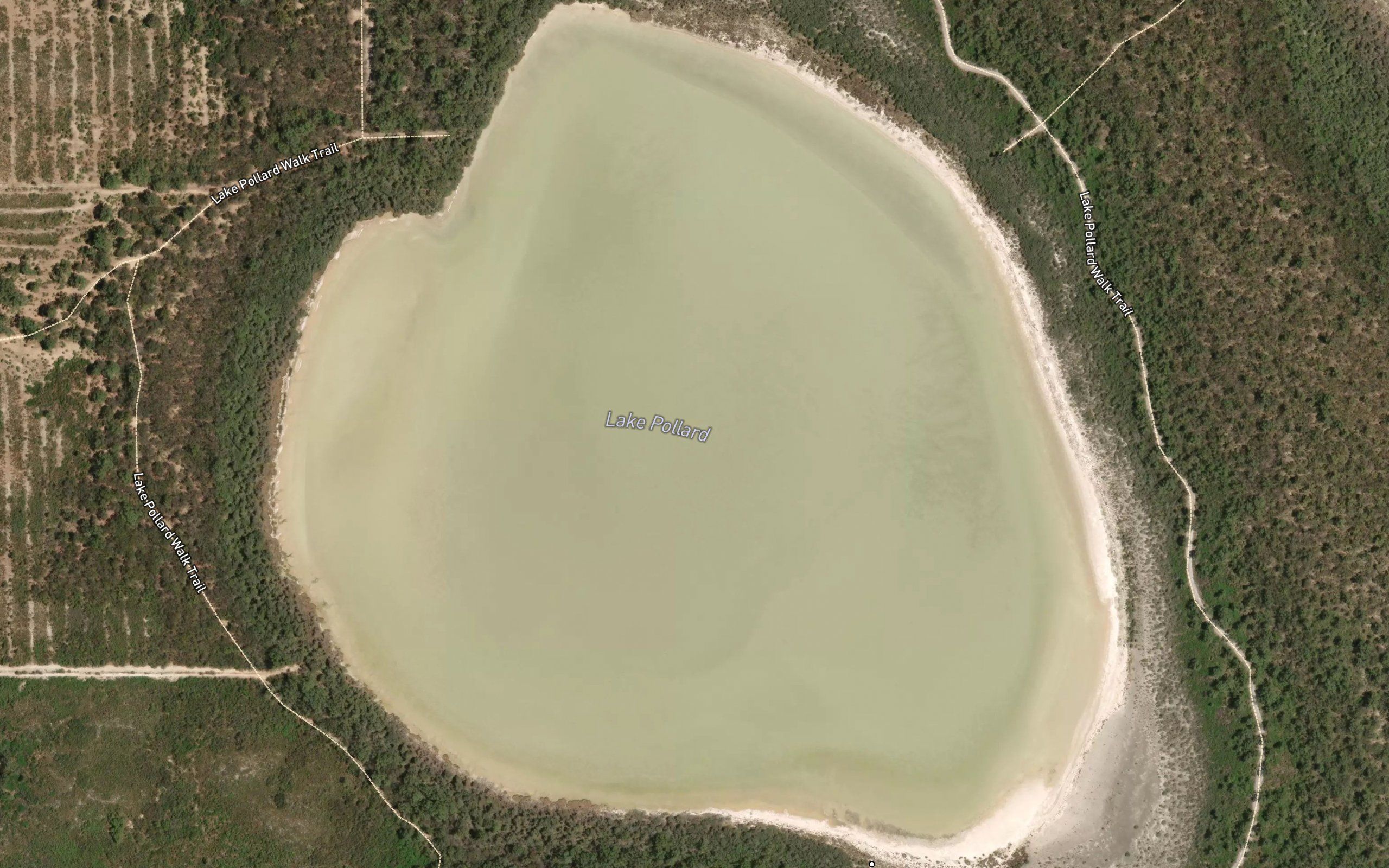 Lake Pollard