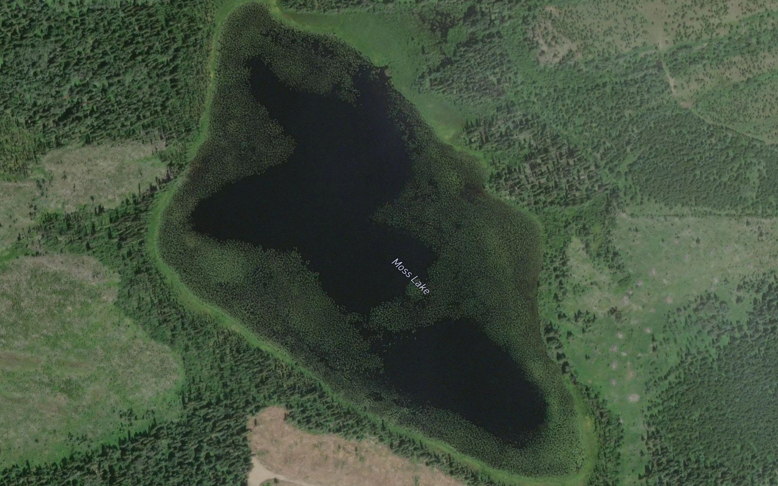 Moss Lake