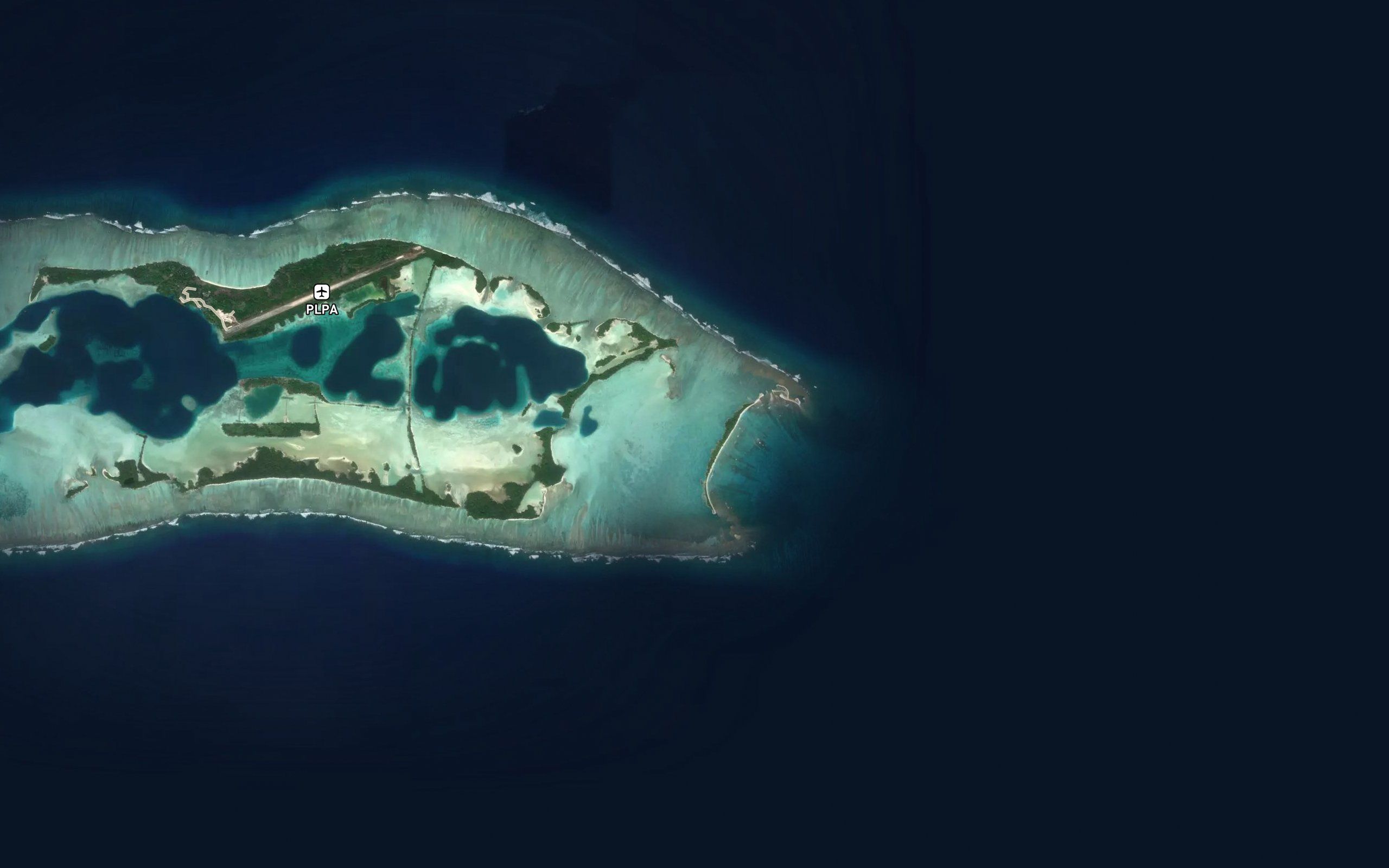 Drying Coral Rock Platform