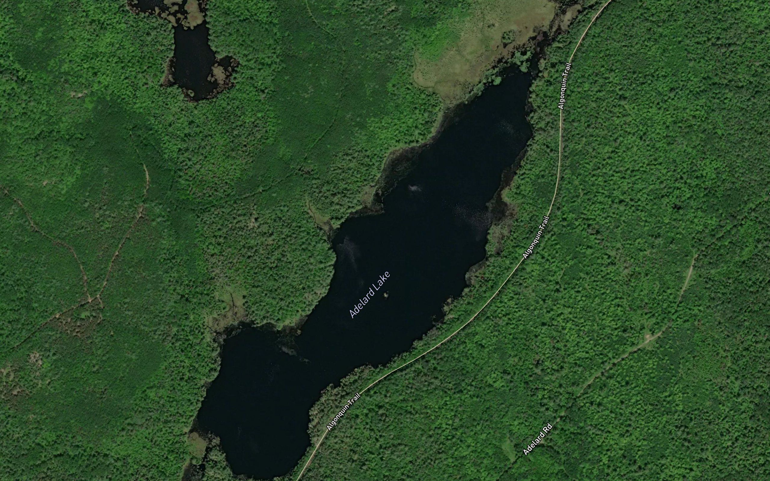 Adelard Lake