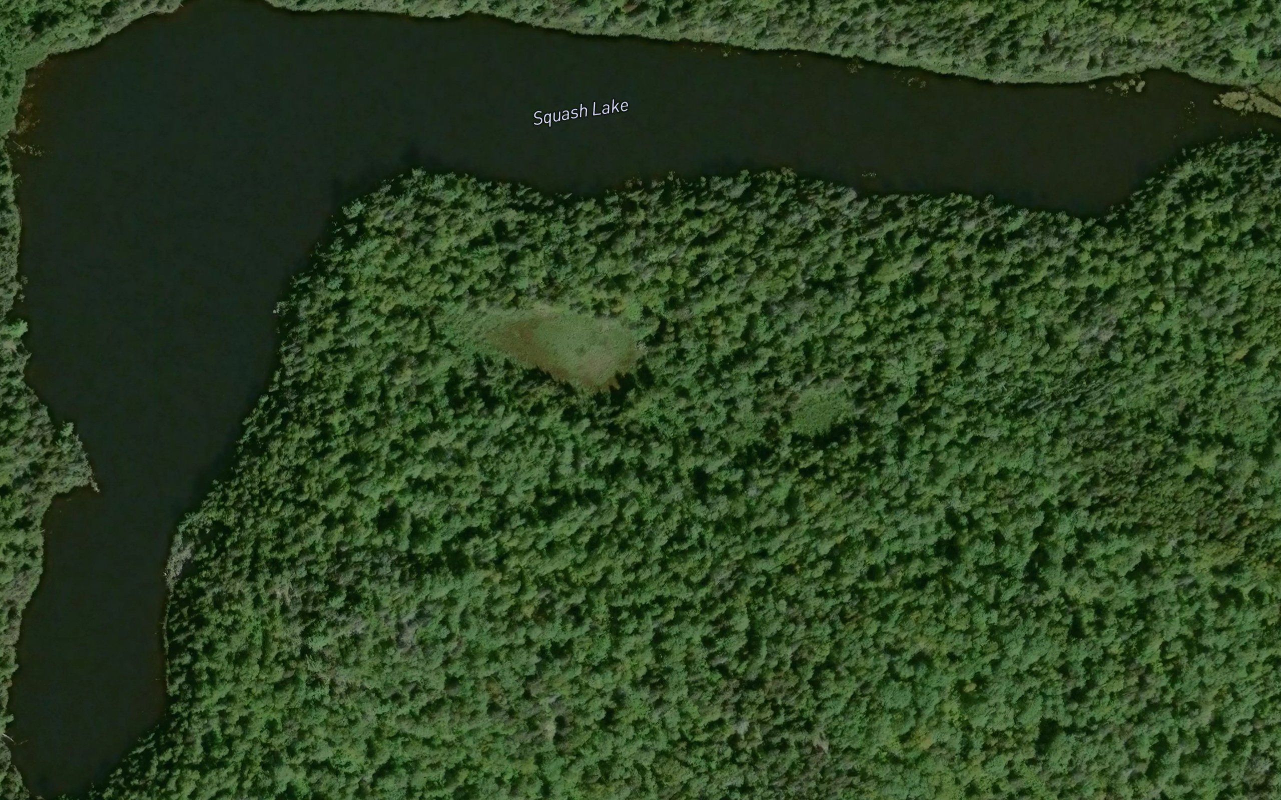 Squash Lake
