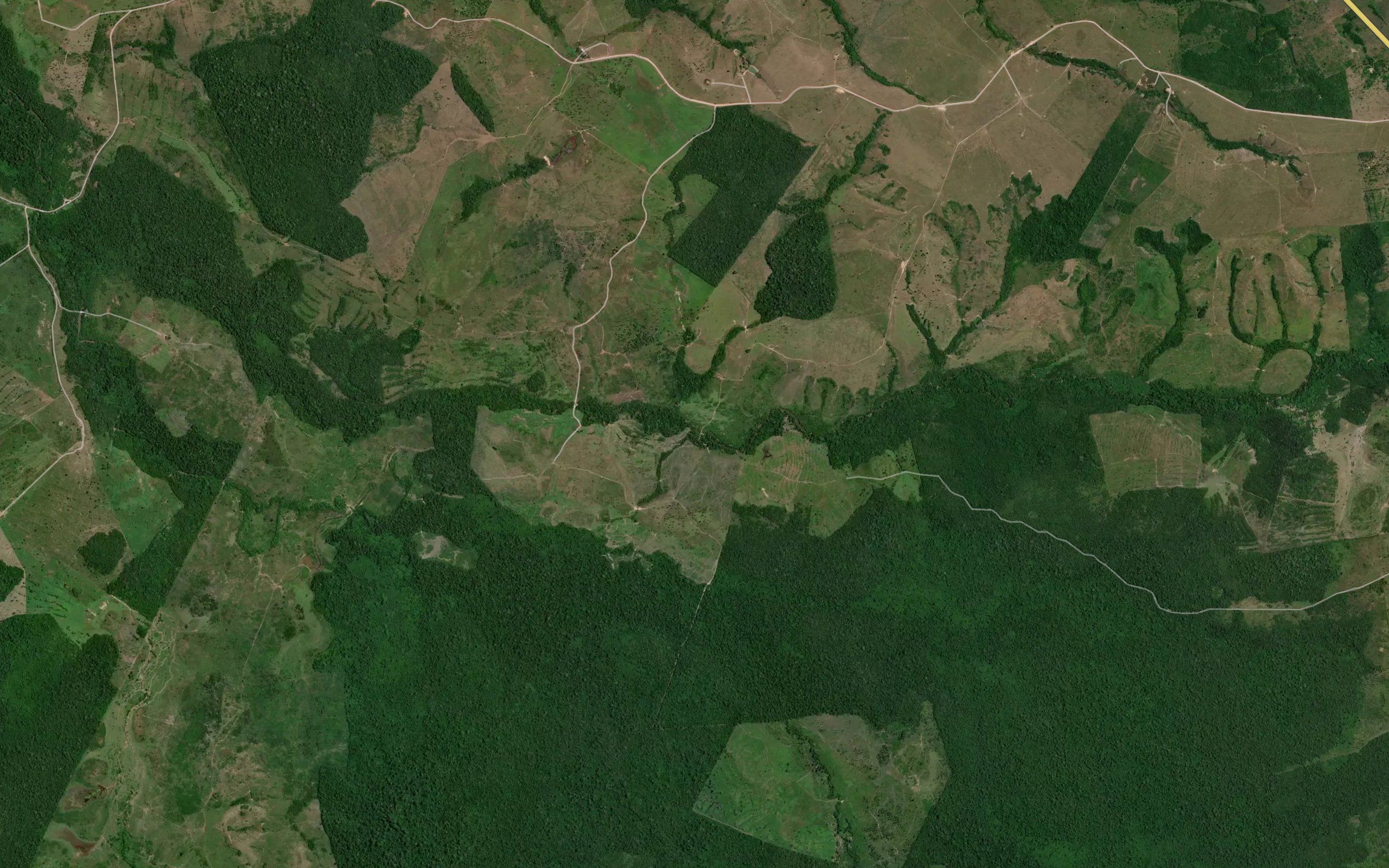 Igarape Sao Paulo