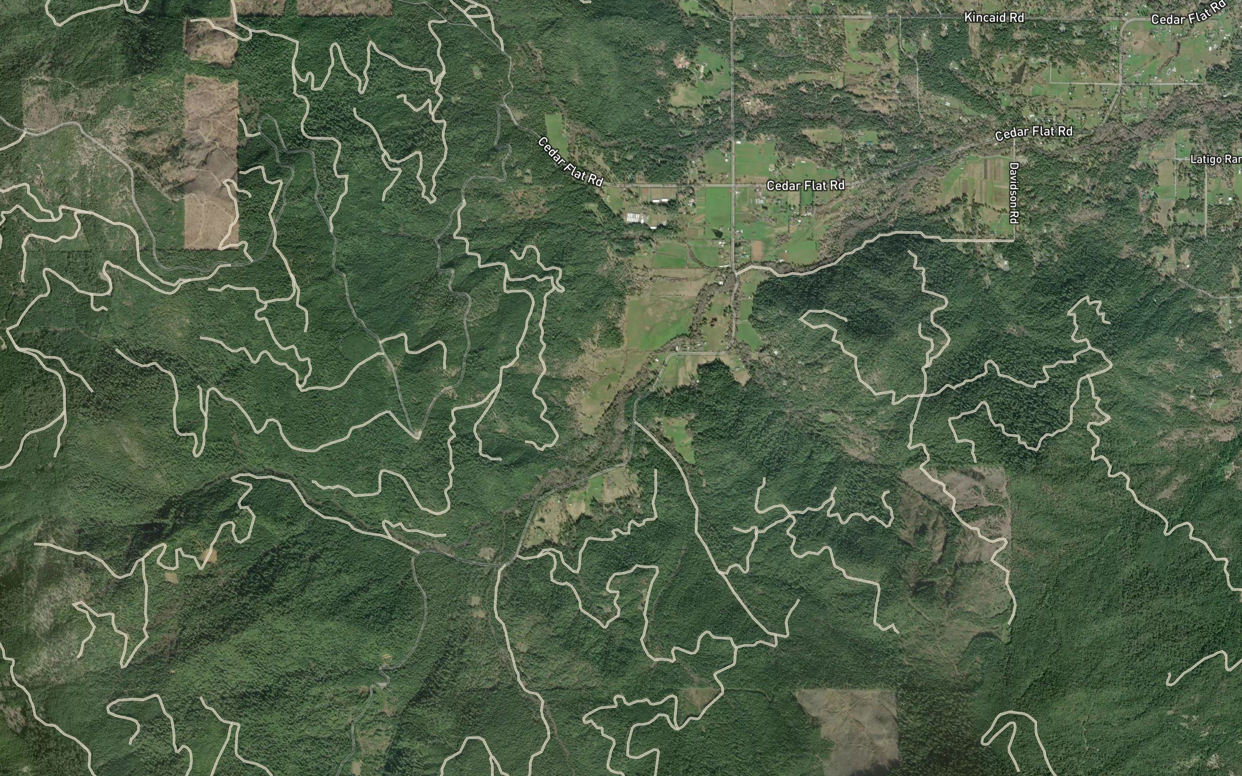 Lone Creek