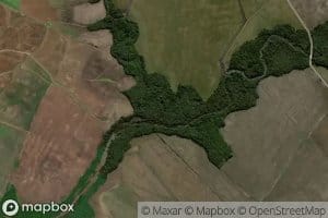 Restinga da Caixa d'Agua