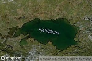 Fjelltjorna