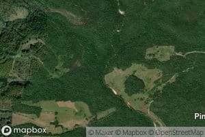 Bailey Brooks Branch