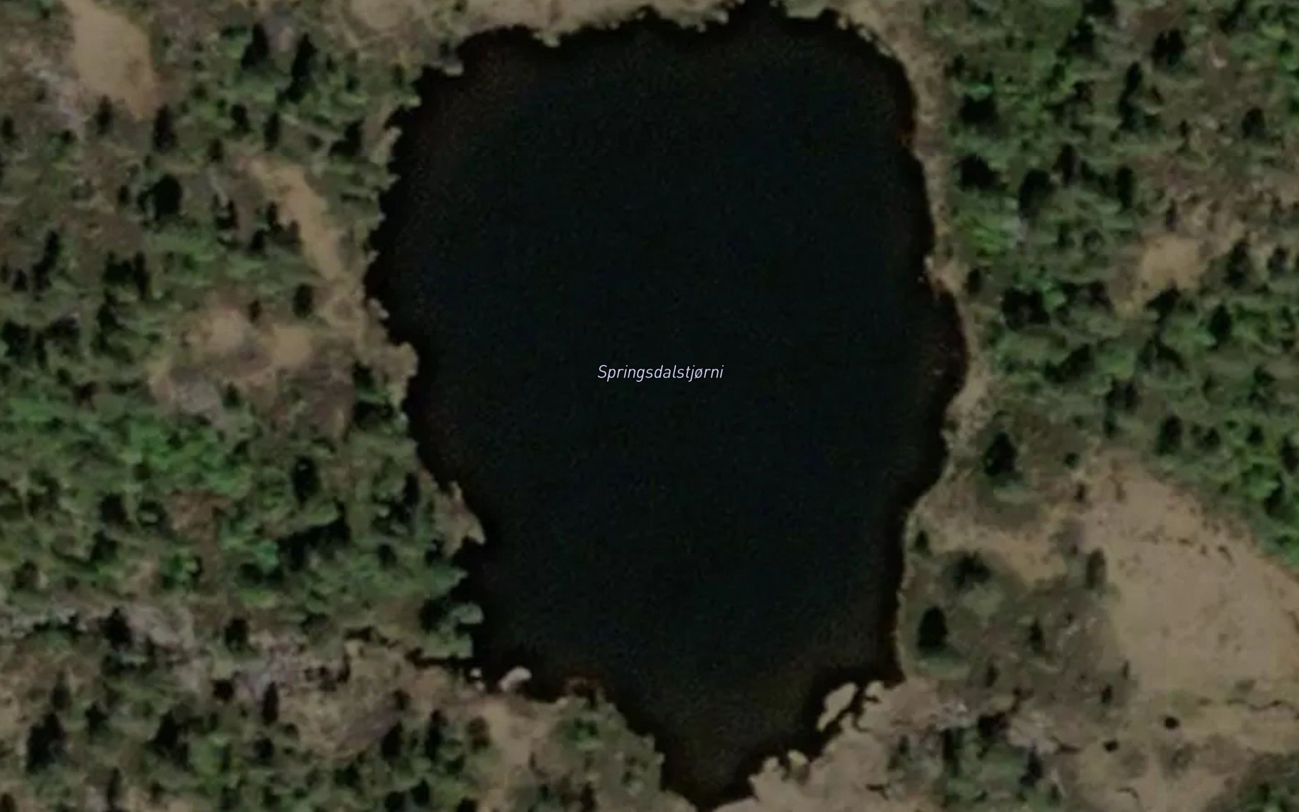 Springsdalstjorni