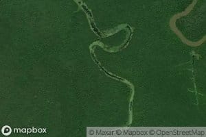 Mercer Bayou