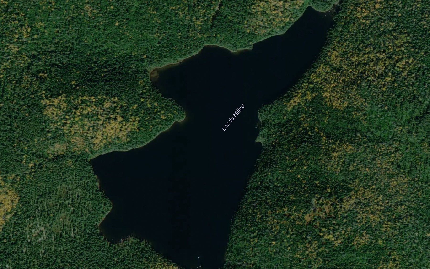 Satellite map of the Lac du Milieu