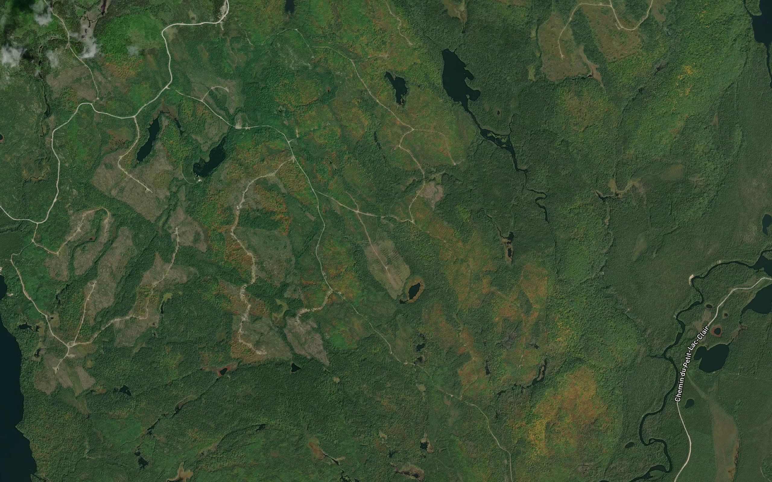 Etang des Melezes
