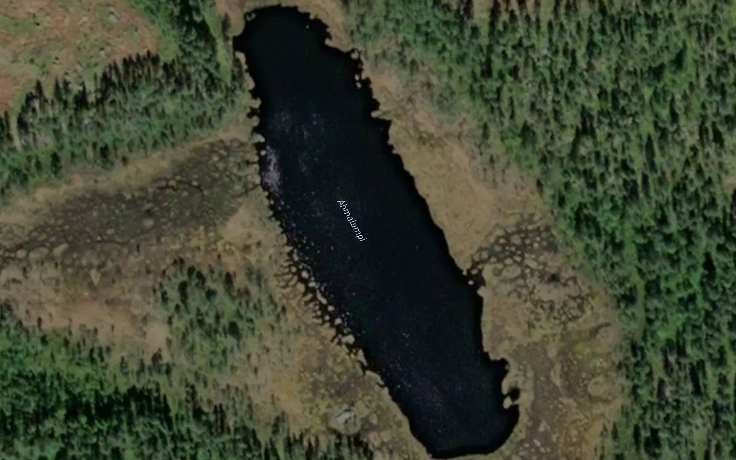Ahmalampi