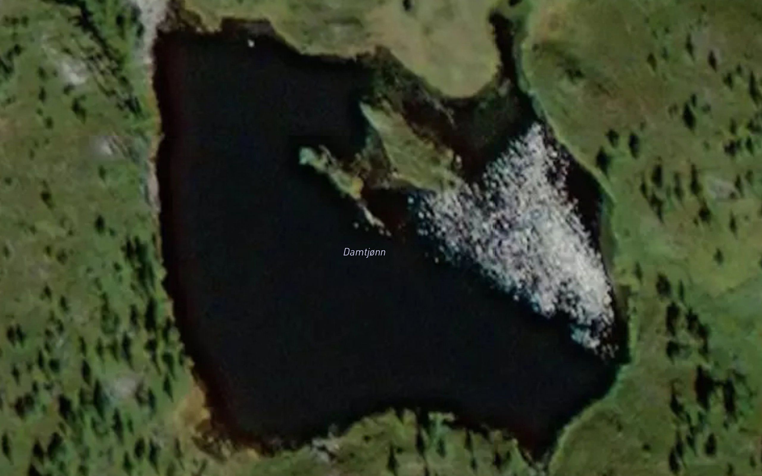 Damtjonn