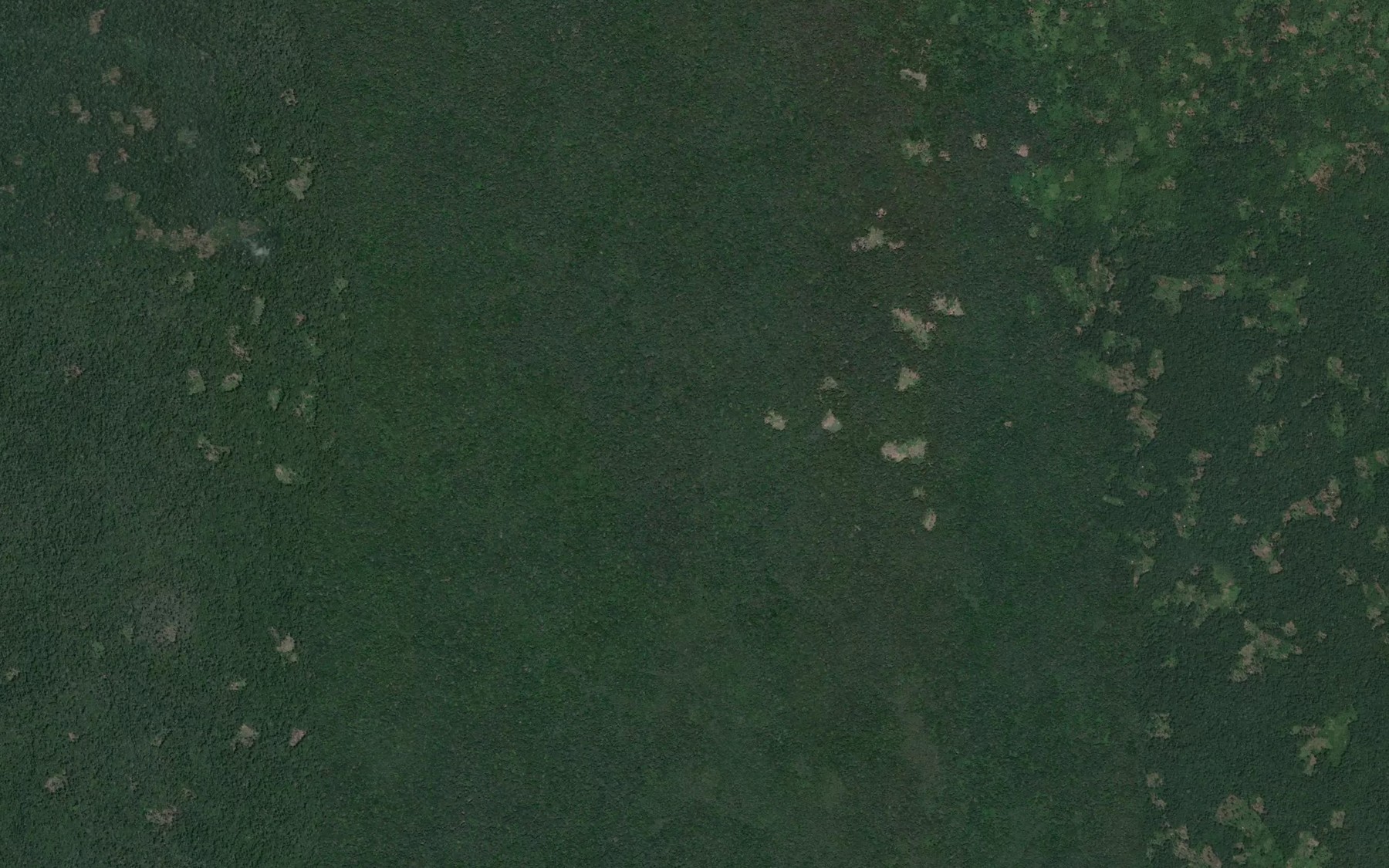 Satellite map of the Gene