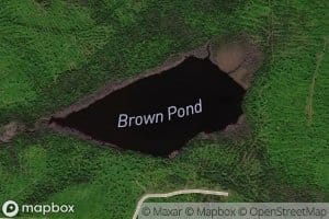 Brown Pond