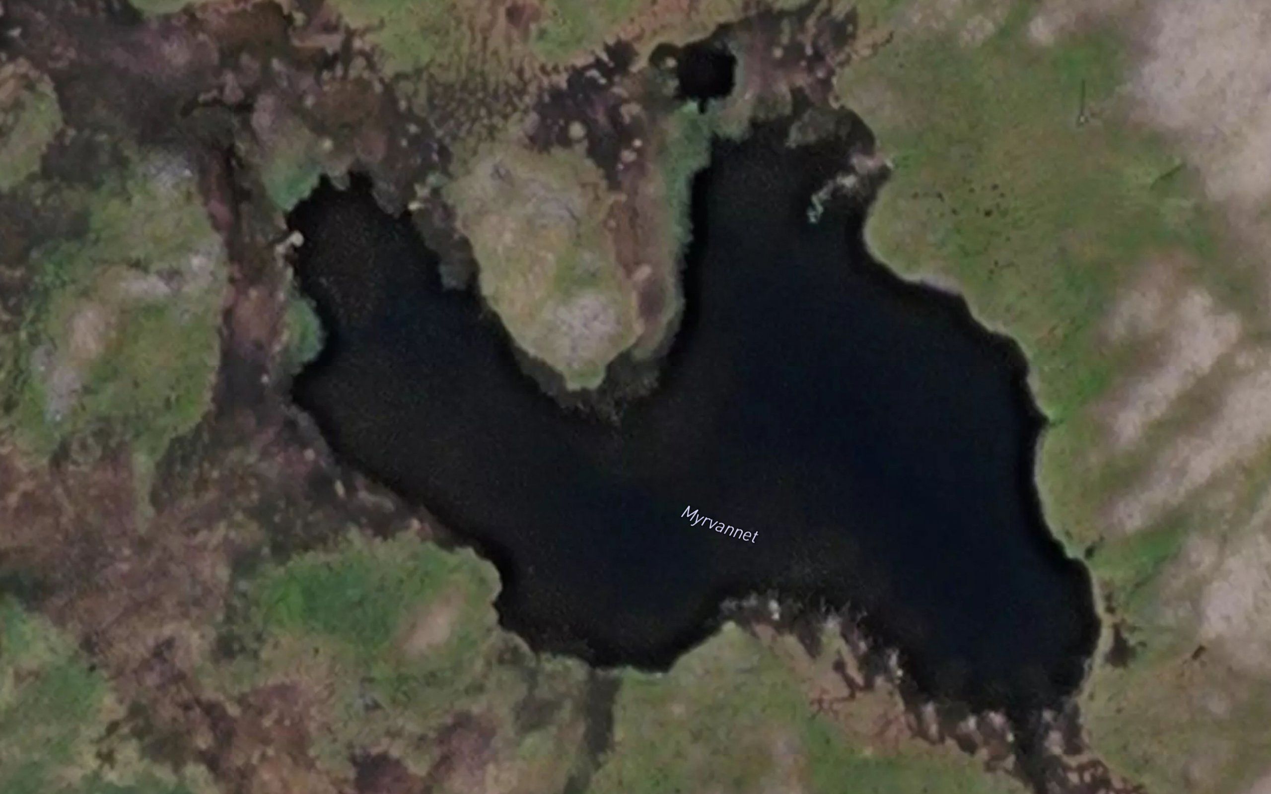 Myrvatnet