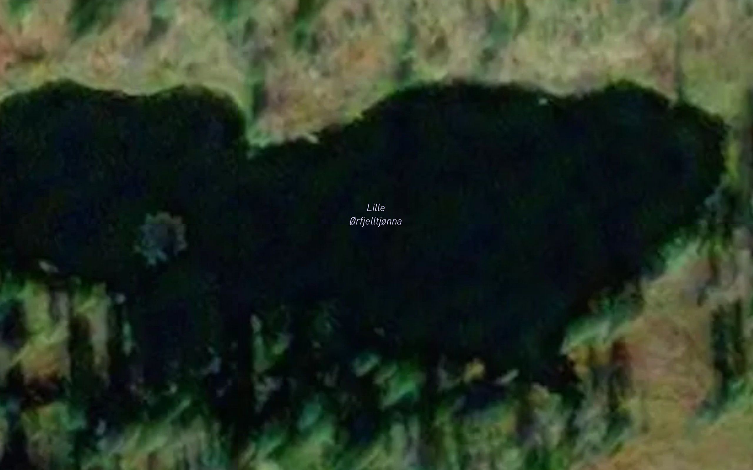Lille Orfjelltjonna