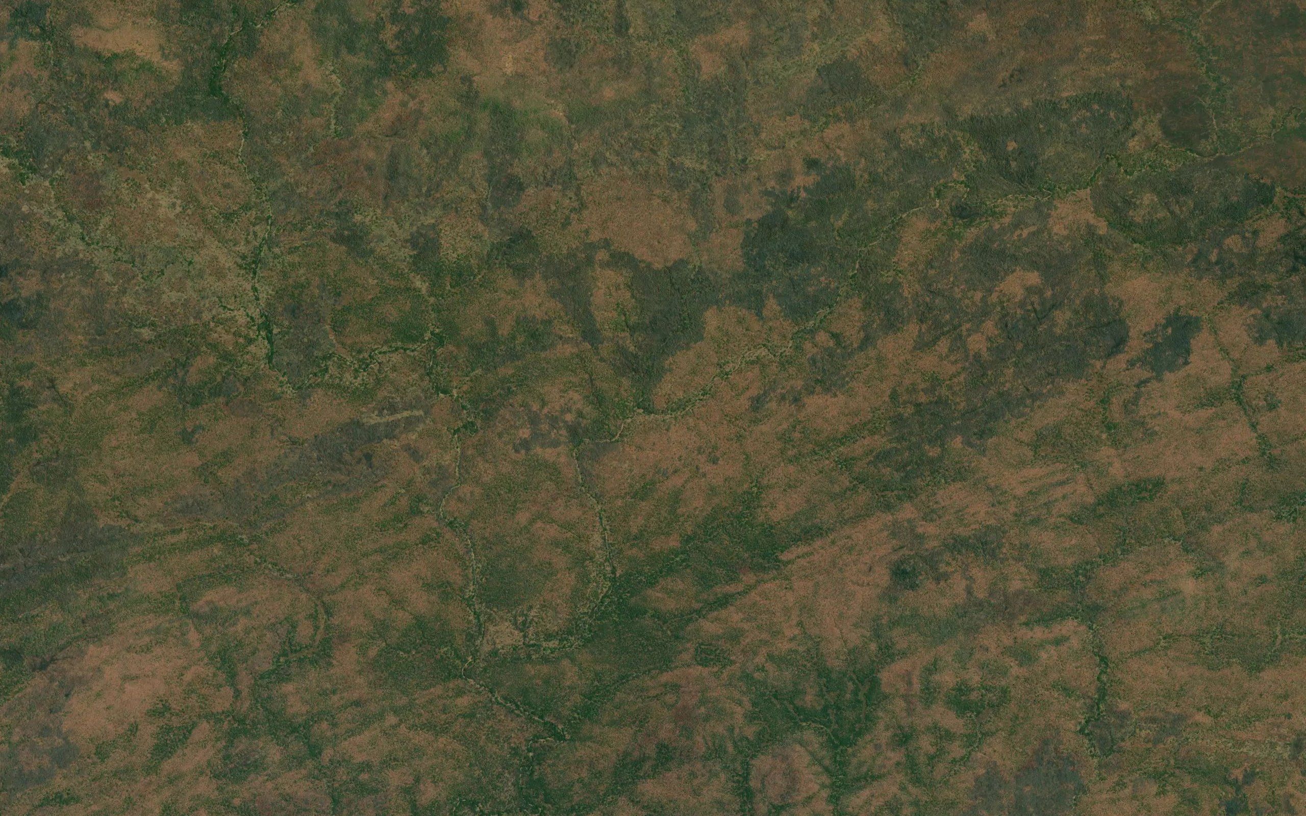 Sapa