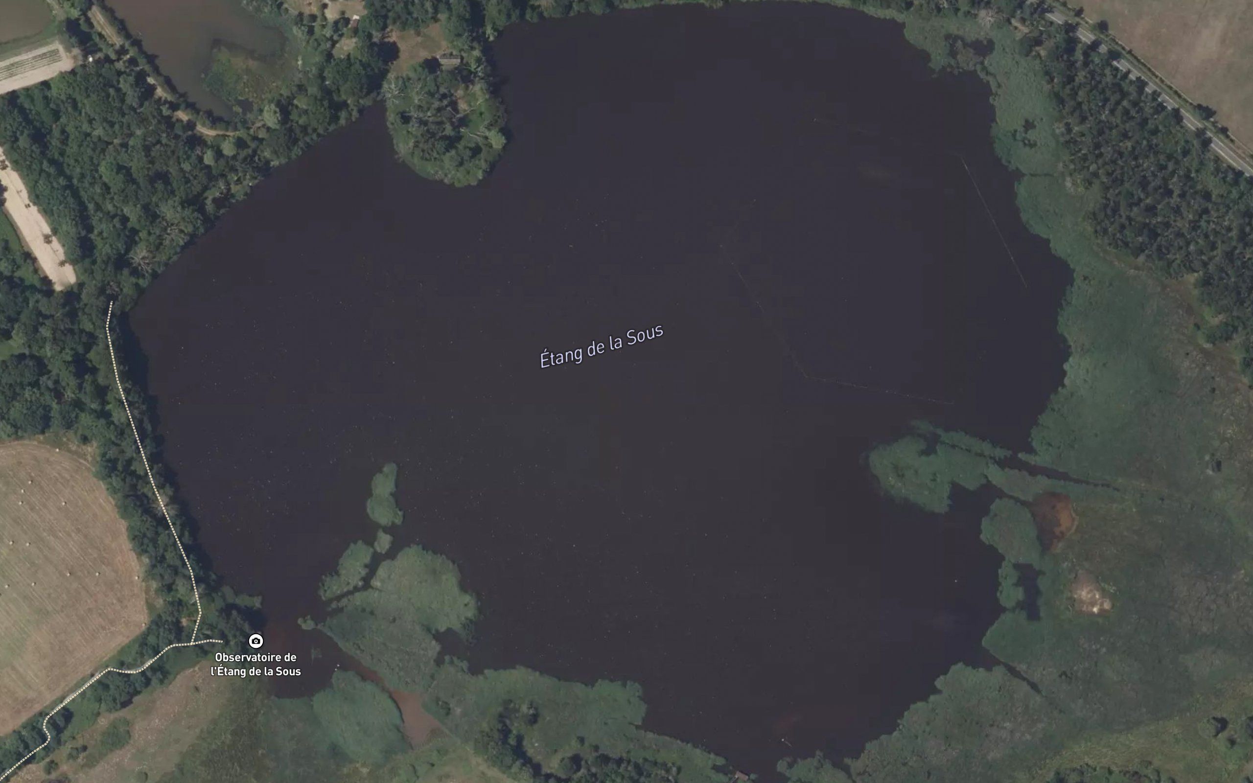Etang de la Sous