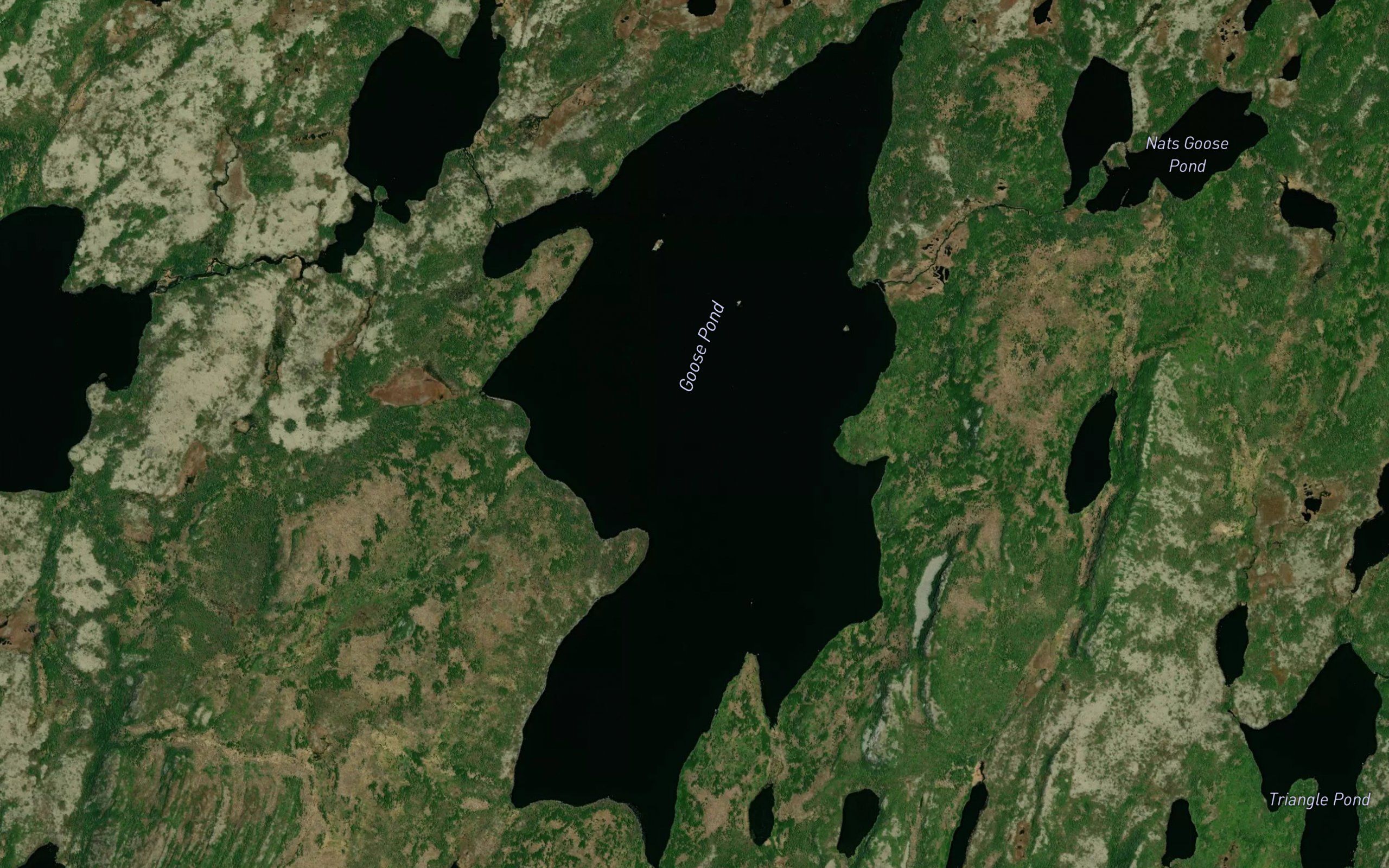 Goose Pond