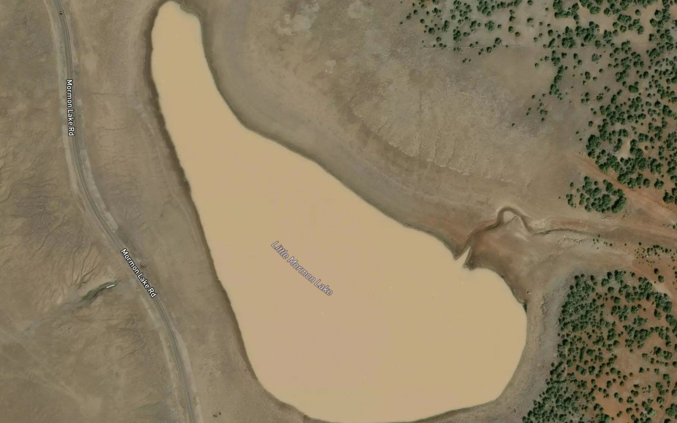 Little Mormon Lake