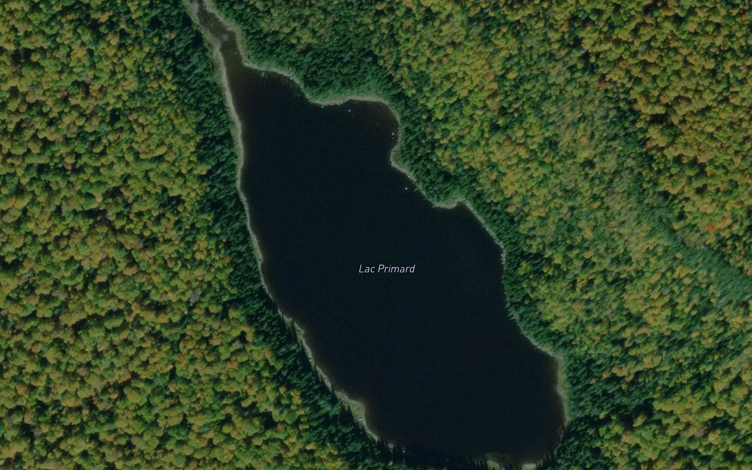 Lac Primard