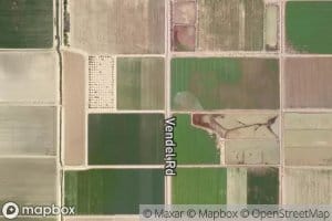 Trifolium Fifteen Drain