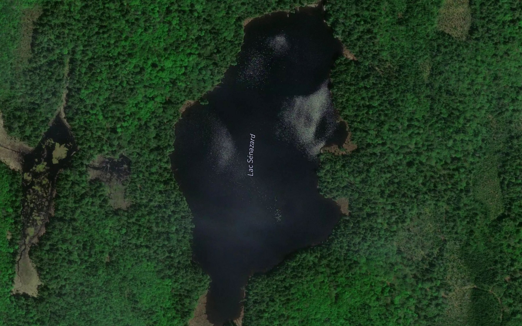 Satellite map of the Lac Senazard