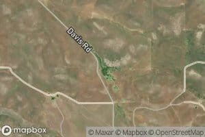 Ortega Spring