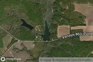 Veneys Millpond