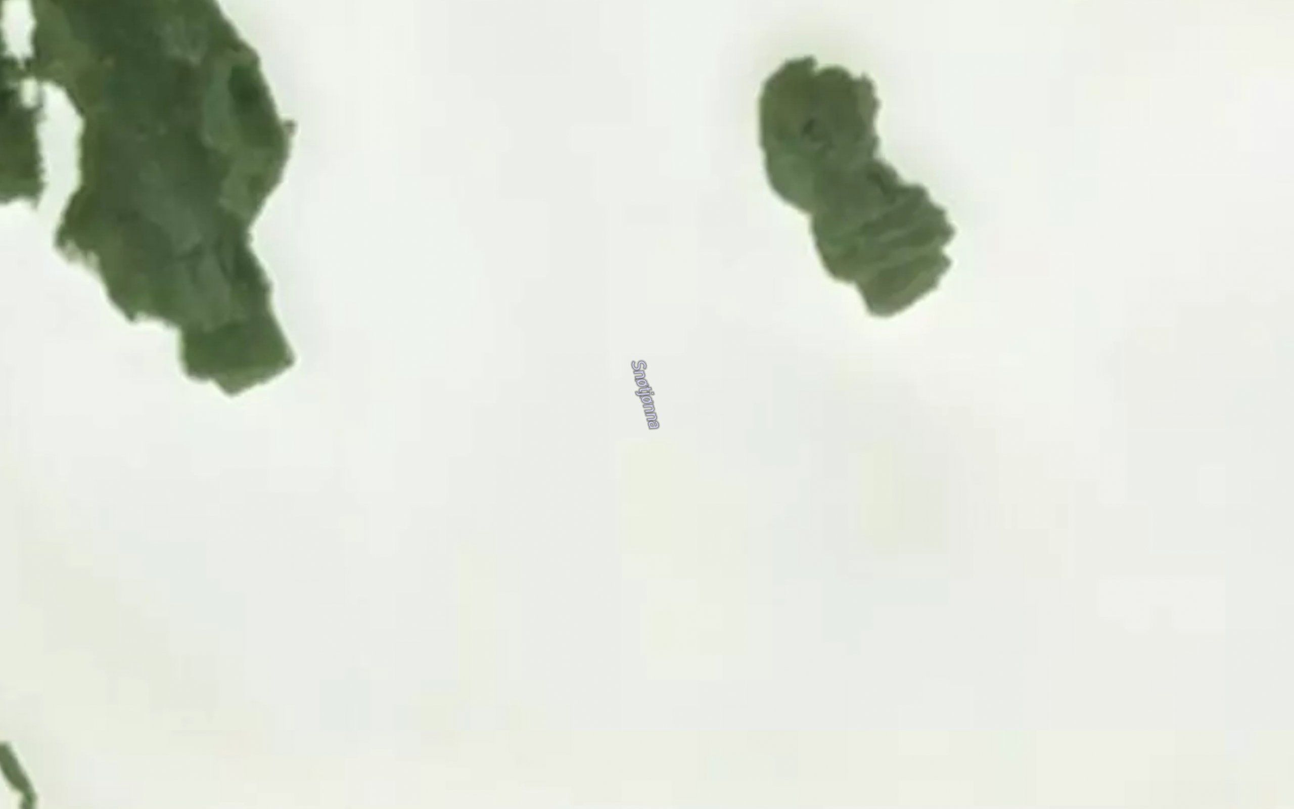 Snotjorna