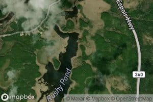 Rushy Pond