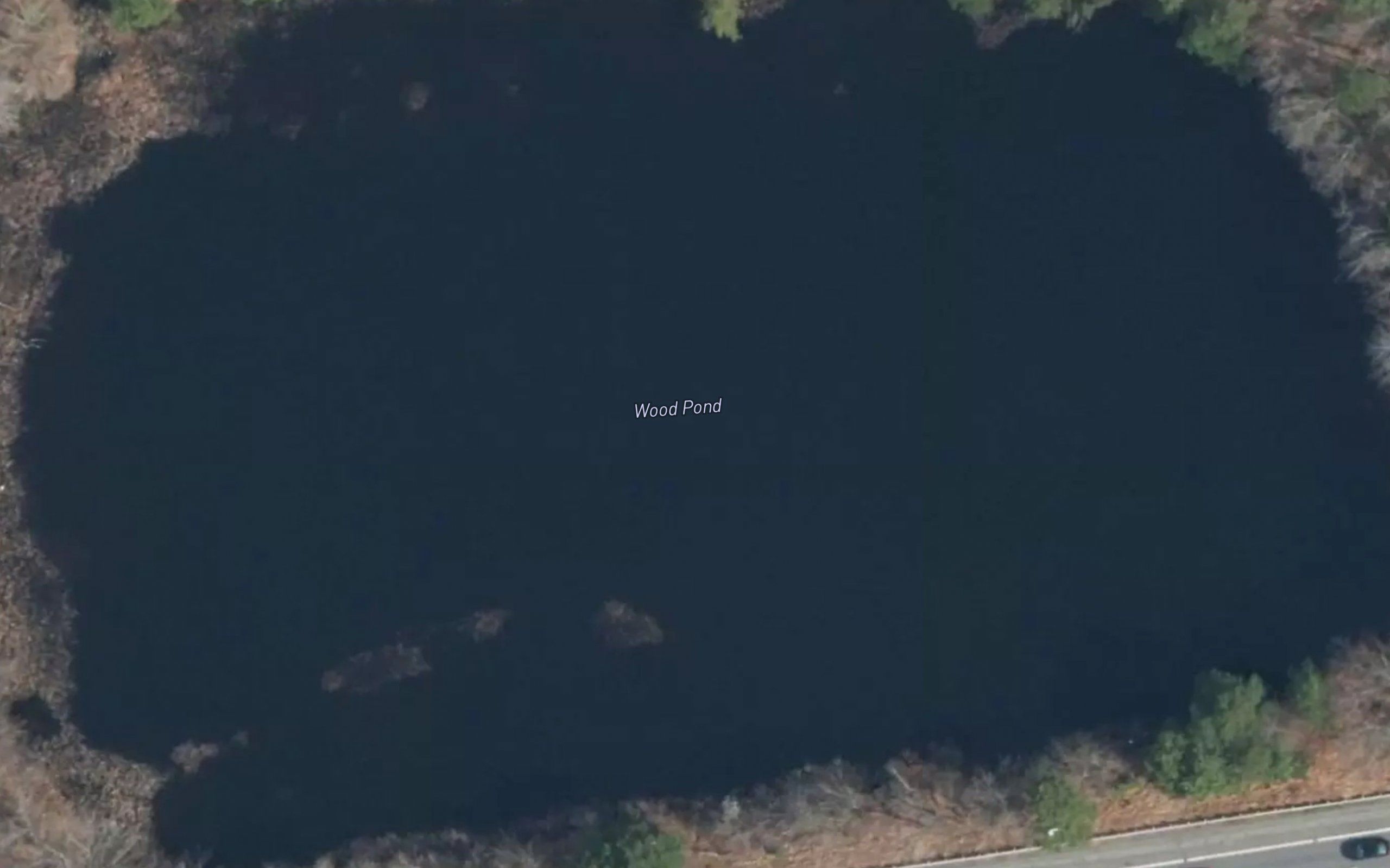 Wood Pond