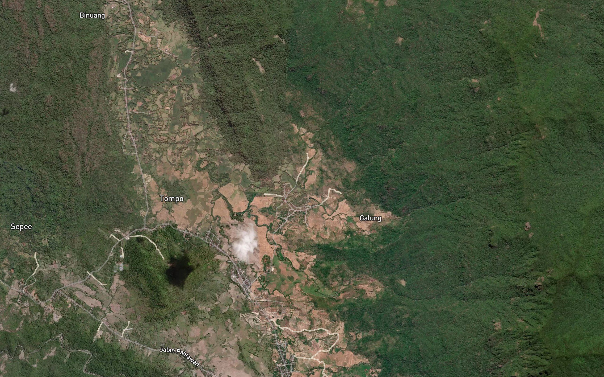 Salo Mapela