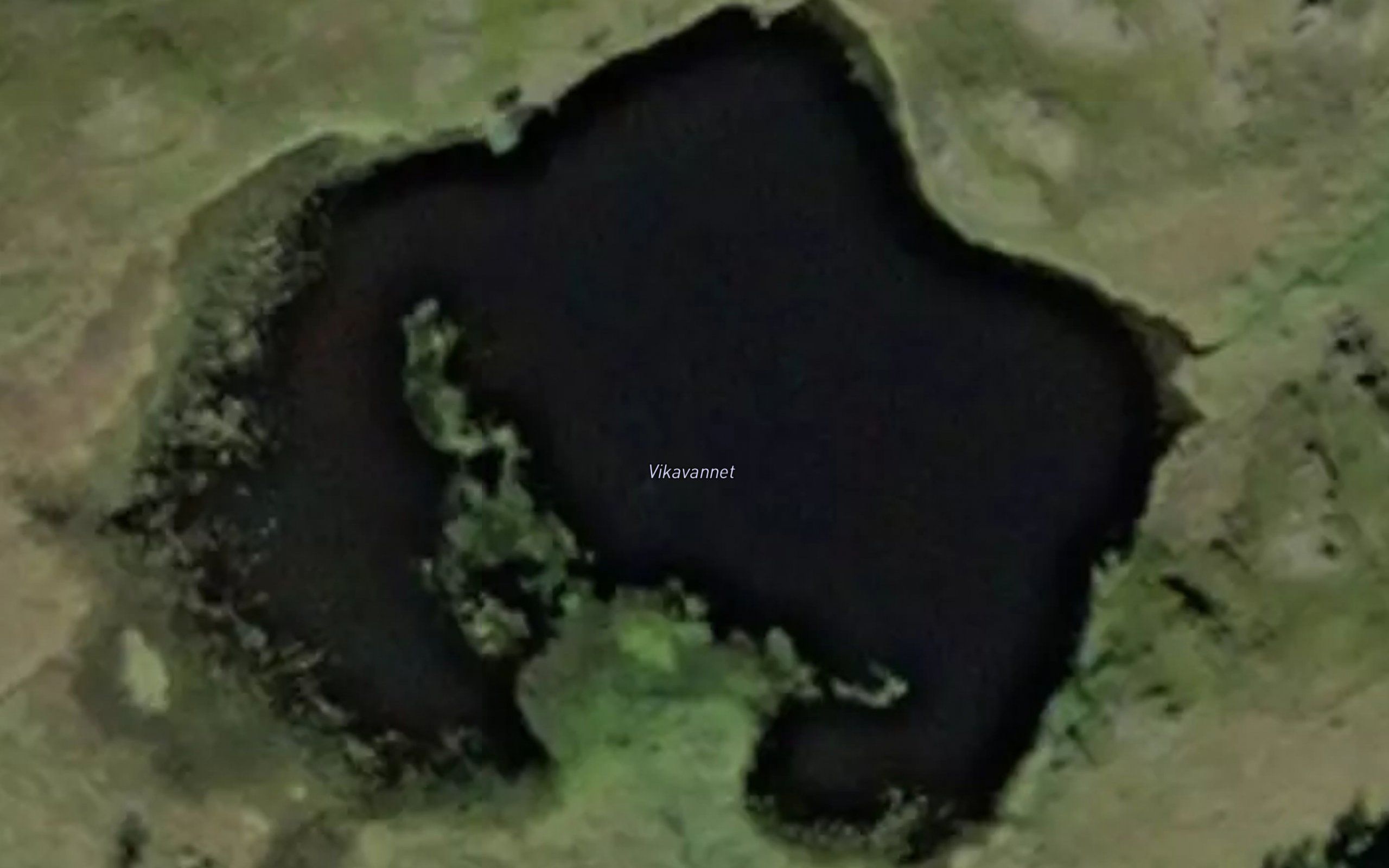 Vikavannet