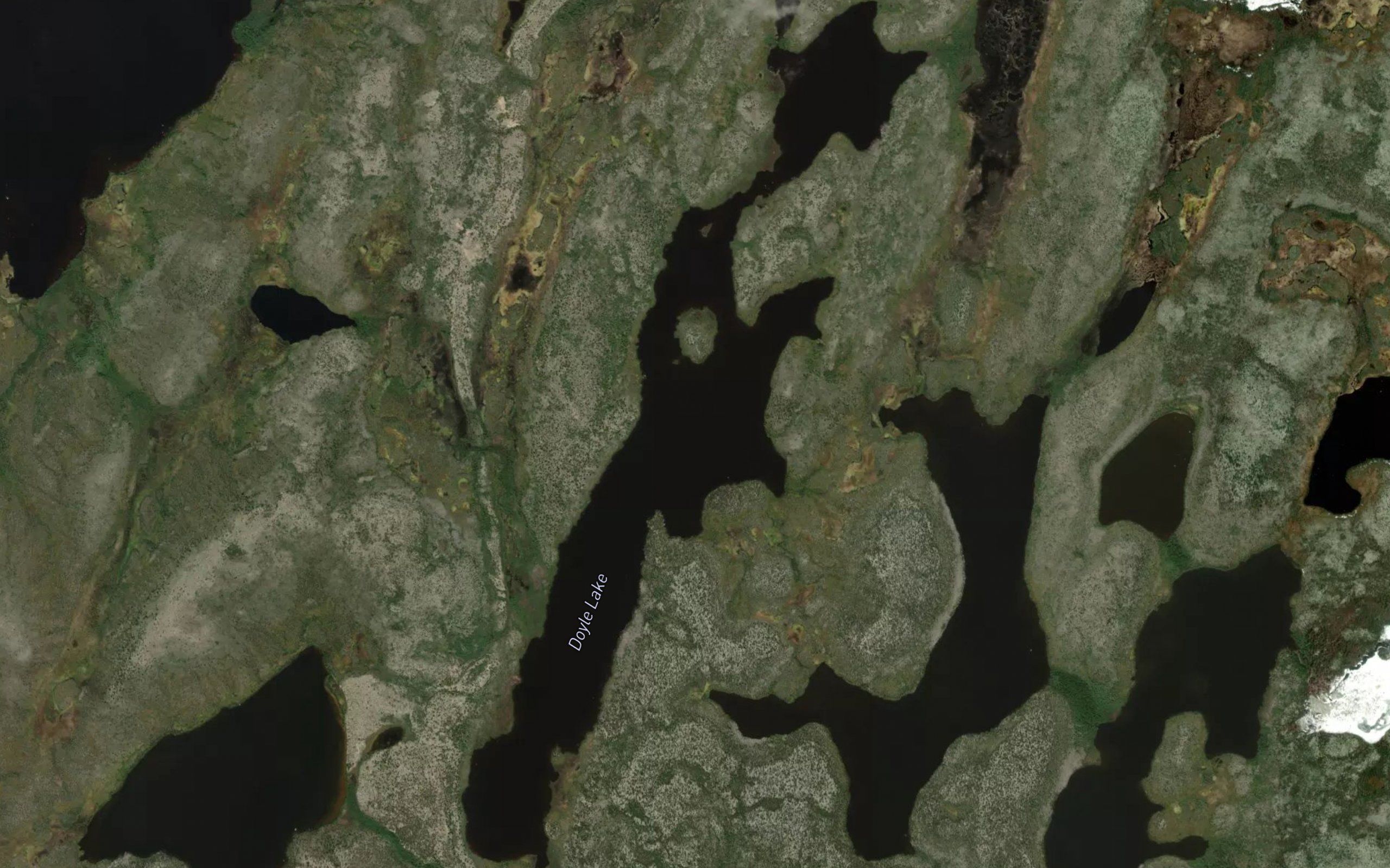 Doyle Lake