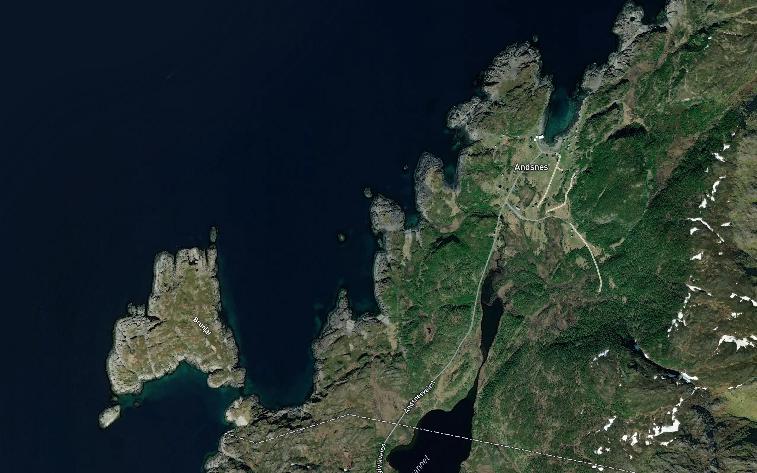 Svartoksen