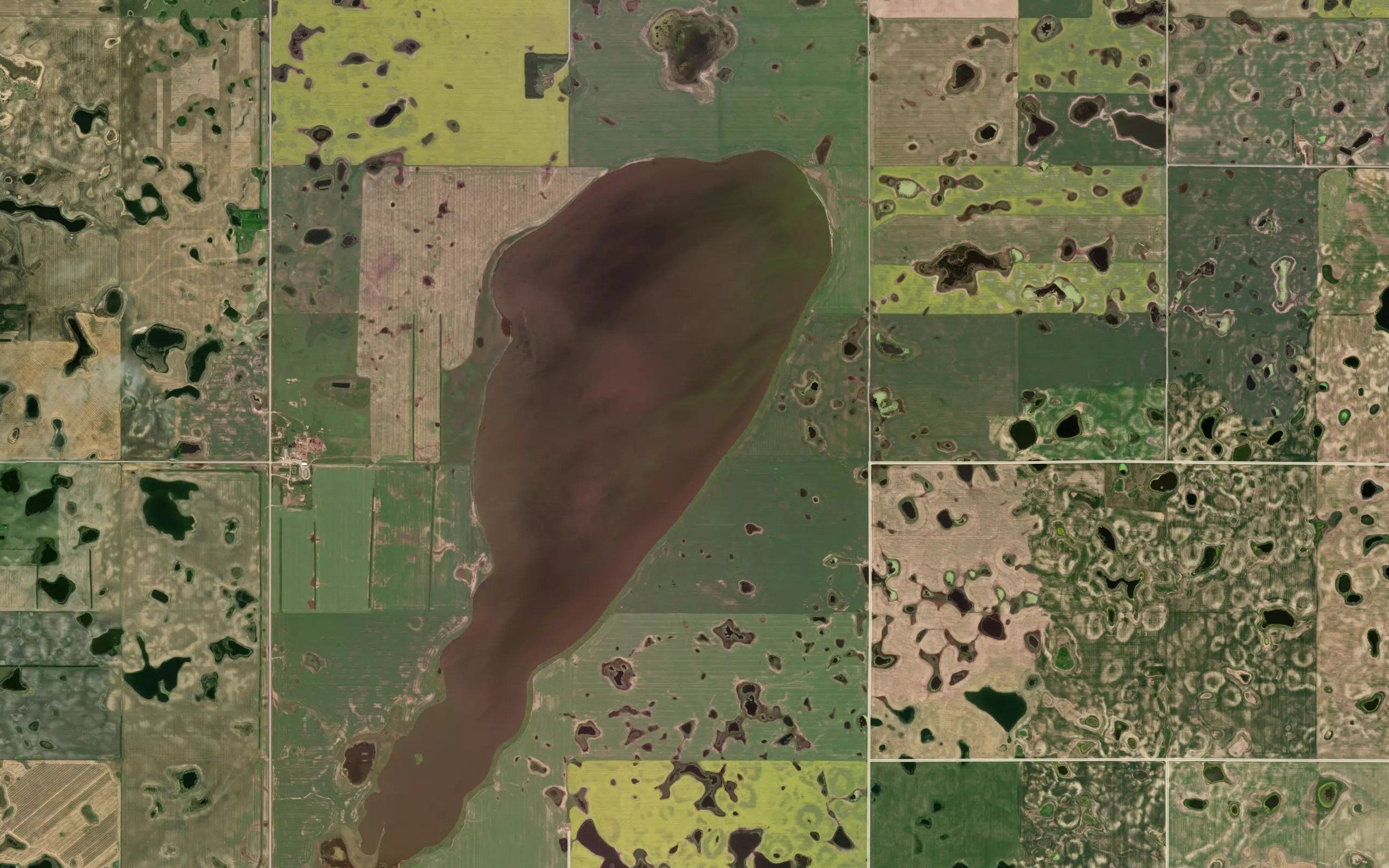 Buffalo Lake