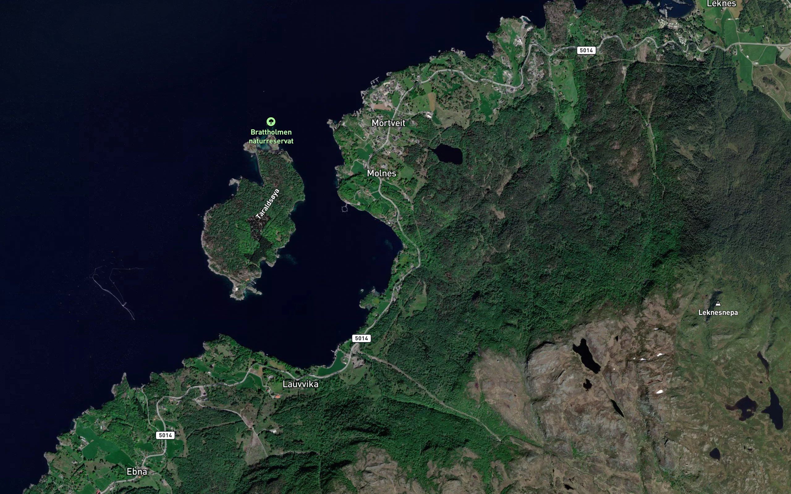 Selvik