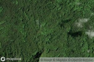 NE W and S Coasts Fringing Mangrove Swamps