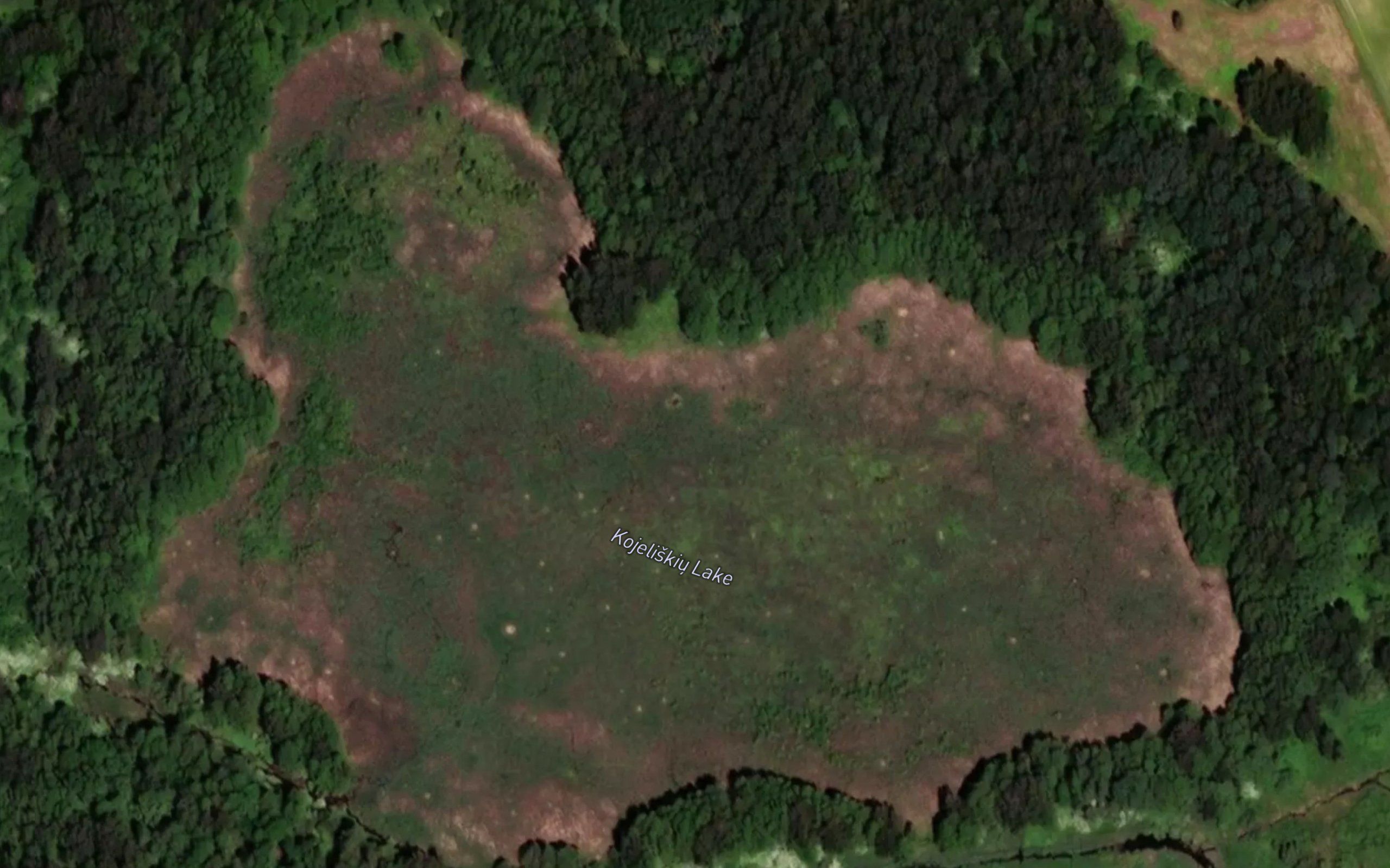 Kojeliskiu Ezeras