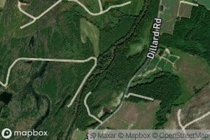 Island Swamp