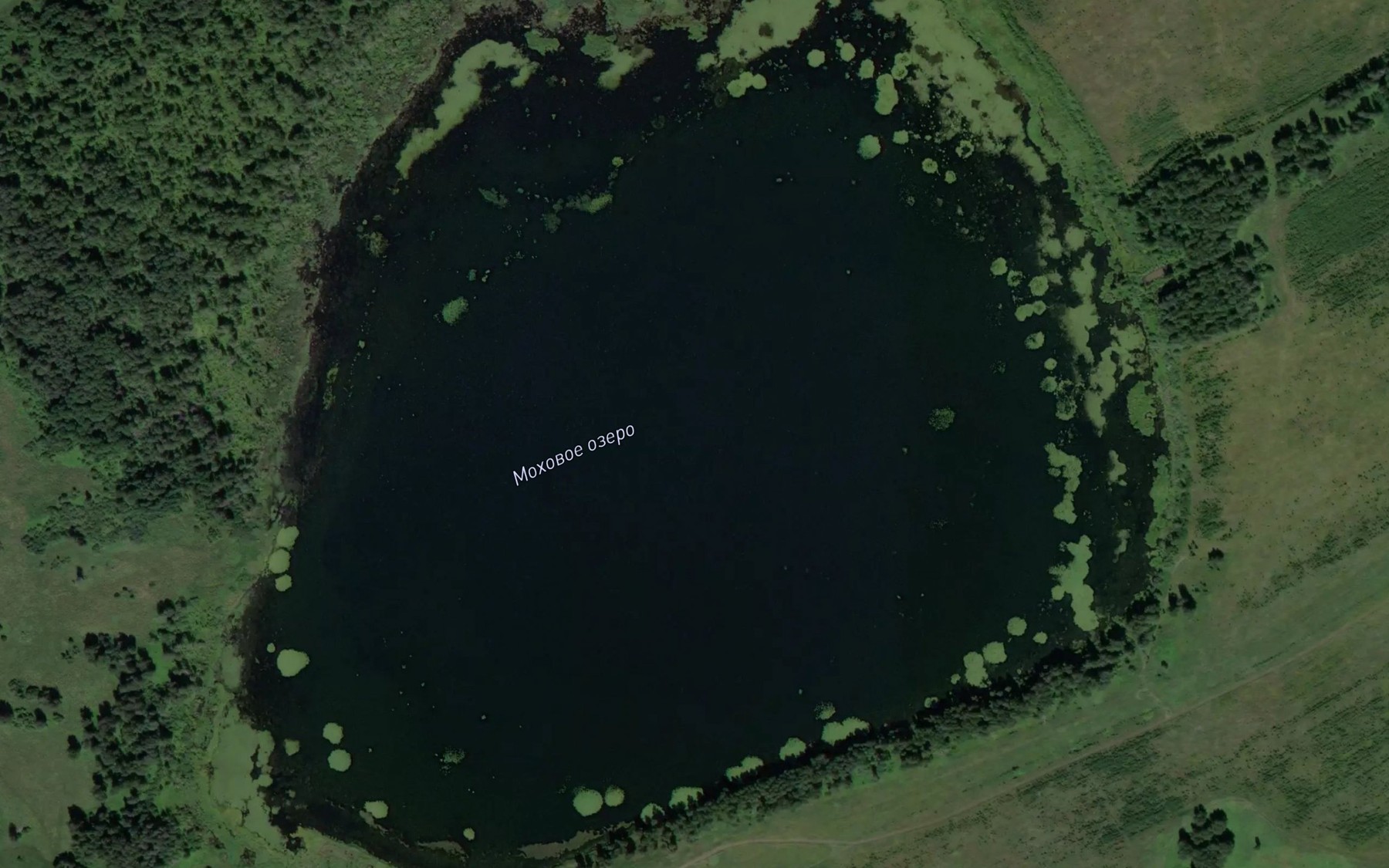 Satellite map of the Ozero Mokhovoye