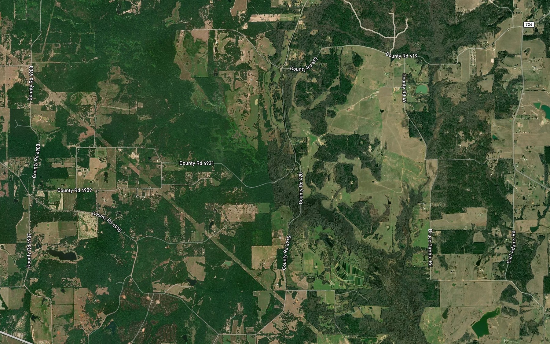 Satellite map of the Allen Branch