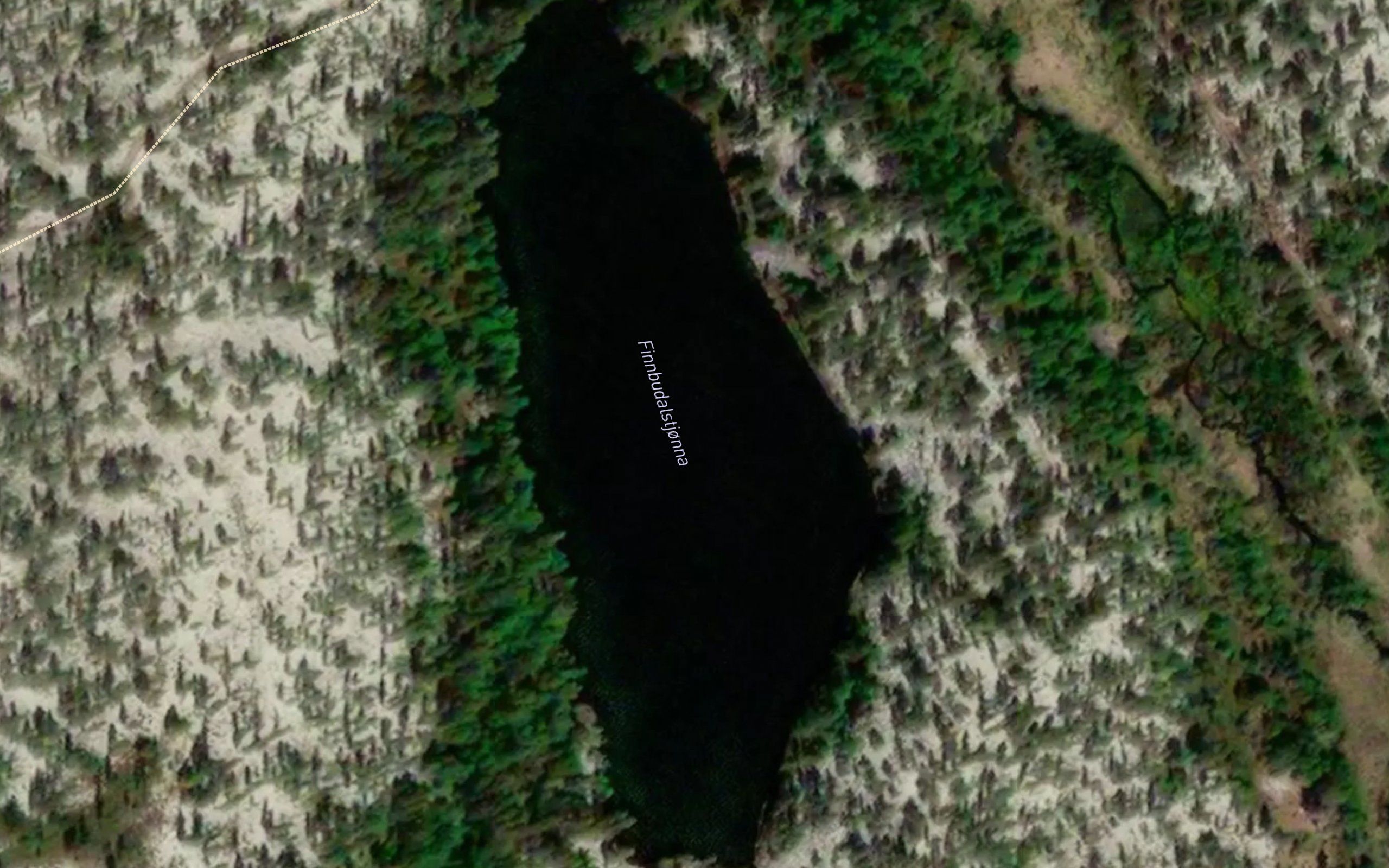 Finnbudalstjonna