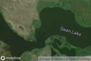 Swan Lake